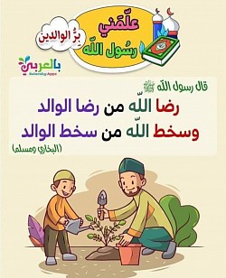 البحوث والدراسات